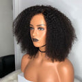 Afro Kinky Curly Wig Natural Color Lace Front Human Hair Wigs